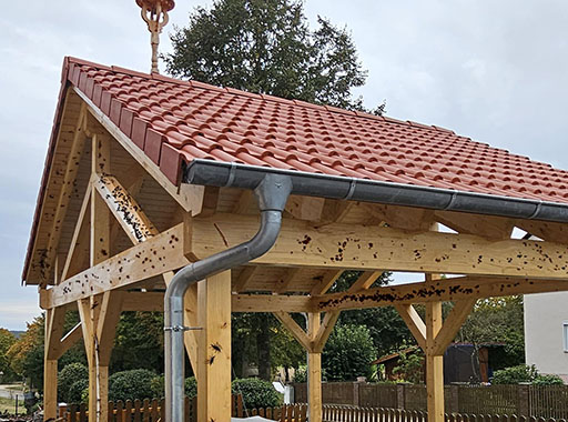 Holz Carport Schädlinge